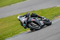 PJ-Motorsport-2019;anglesey-no-limits-trackday;anglesey-photographs;anglesey-trackday-photographs;enduro-digital-images;event-digital-images;eventdigitalimages;no-limits-trackdays;peter-wileman-photography;racing-digital-images;trac-mon;trackday-digital-images;trackday-photos;ty-croes